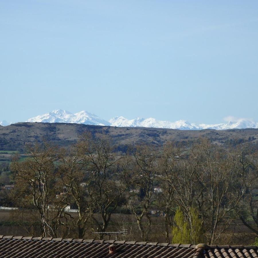 Bed and Breakfast L'Oustal Des Fontanilles Castelnaudary Exterior foto